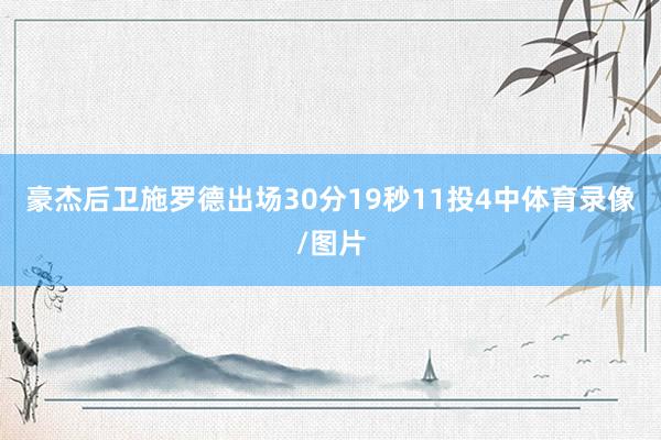 豪杰后卫施罗德出场30分19秒11投4中体育录像/图片