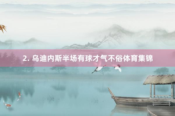 2. 乌迪内斯半场有球才气不俗体育集锦