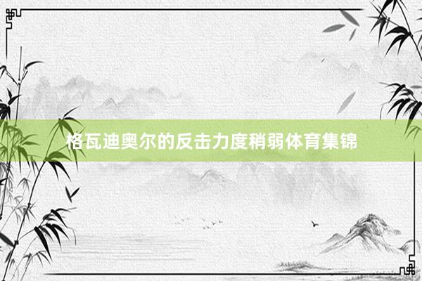 格瓦迪奥尔的反击力度稍弱体育集锦