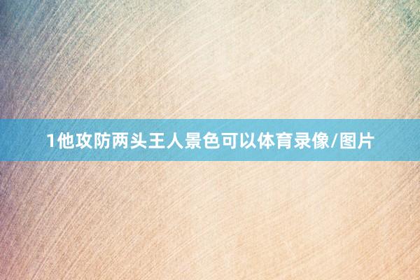 1他攻防两头王人景色可以体育录像/图片