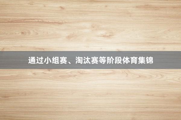 通过小组赛、淘汰赛等阶段体育集锦