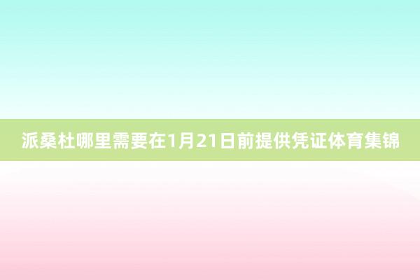 派桑杜哪里需要在1月21日前提供凭证体育集锦