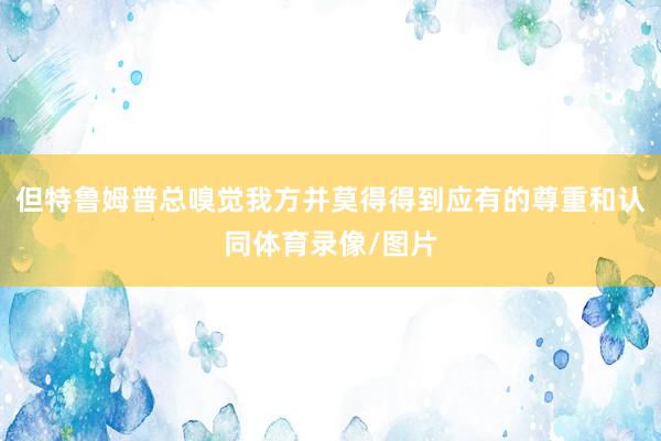 但特鲁姆普总嗅觉我方并莫得得到应有的尊重和认同体育录像/图片