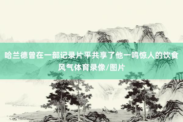 哈兰德曾在一部记录片平共享了他一鸣惊人的饮食风气体育录像/图片