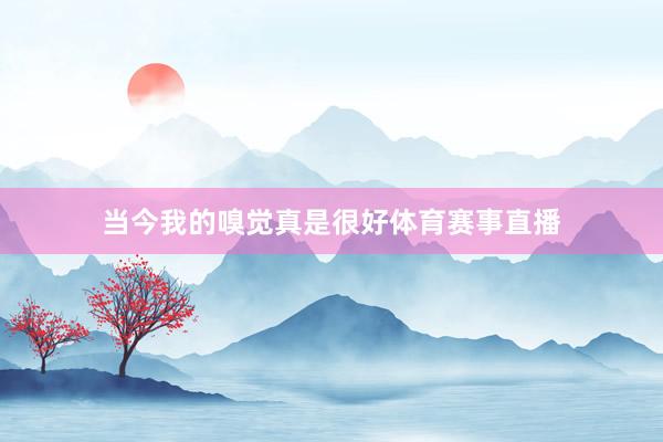 当今我的嗅觉真是很好体育赛事直播