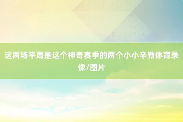 这两场平局是这个神奇赛季的两个小小辛勤体育录像/图片
