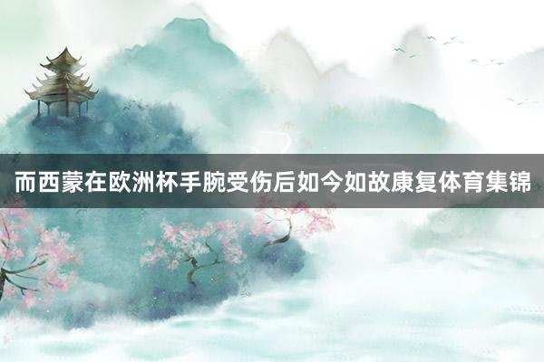 而西蒙在欧洲杯手腕受伤后如今如故康复体育集锦