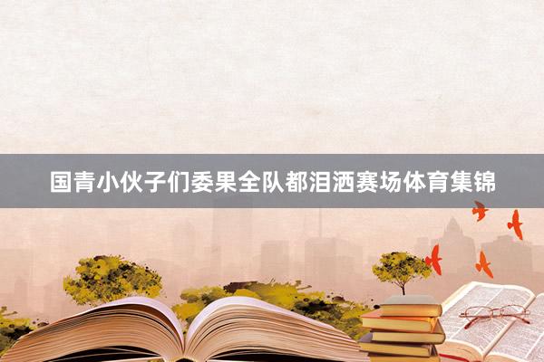 国青小伙子们委果全队都泪洒赛场体育集锦