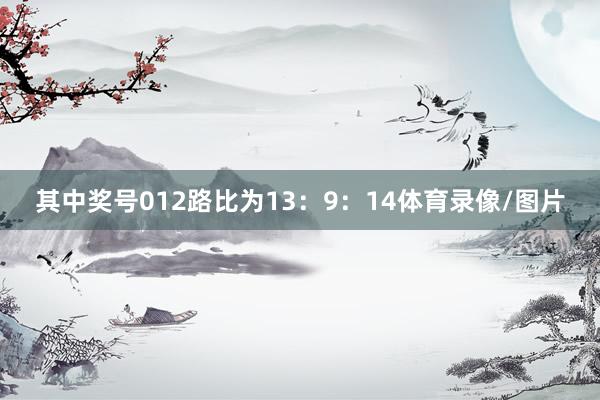 其中奖号012路比为13:9:14体育录像/图片