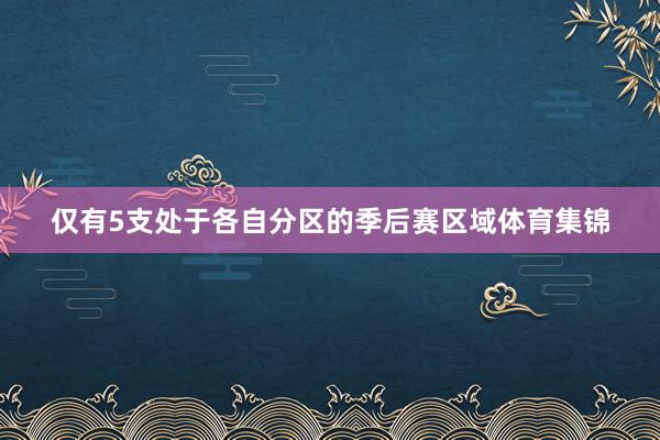 仅有5支处于各自分区的季后赛区域体育集锦