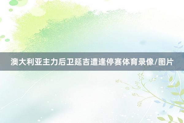 澳大利亚主力后卫延吉遭逢停赛体育录像/图片