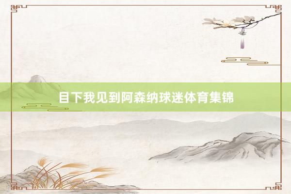 目下我见到阿森纳球迷体育集锦