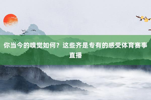 你当今的嗅觉如何?这些齐是专有的感受体育赛事直播