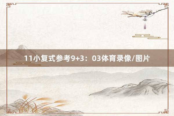 11　　小复式参考9+3：03体育录像/图片