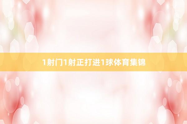 1射门1射正打进1球体育集锦