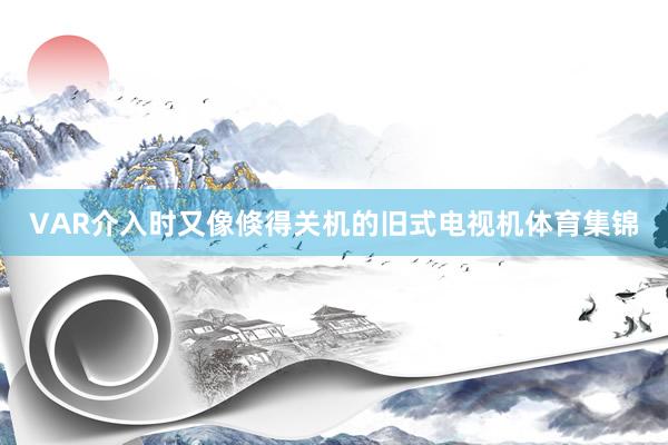VAR介入时又像倏得关机的旧式电视机体育集锦