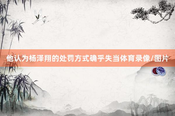 他认为杨泽翔的处罚方式确乎失当体育录像/图片