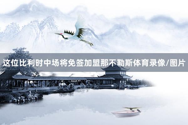这位比利时中场将免签加盟那不勒斯体育录像/图片