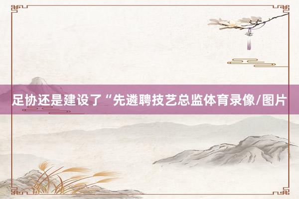 足协还是建设了“先遴聘技艺总监体育录像/图片