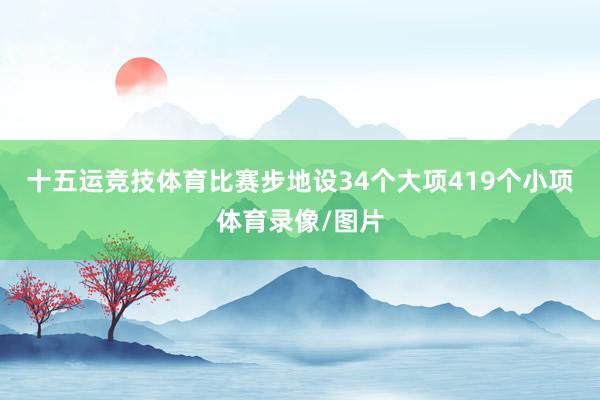 十五运竞技体育比赛步地设34个大项419个小项体育录像/图片