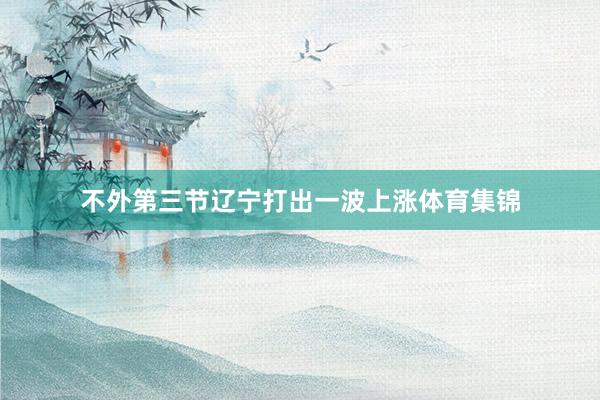 不外第三节辽宁打出一波上涨体育集锦