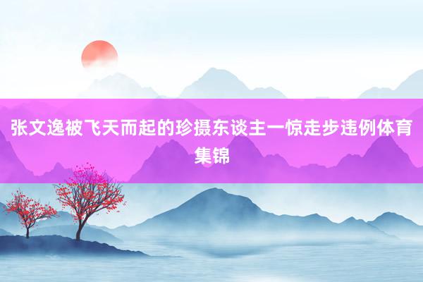 张文逸被飞天而起的珍摄东谈主一惊走步违例体育集锦