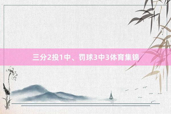 三分2投1中、罚球3中3体育集锦