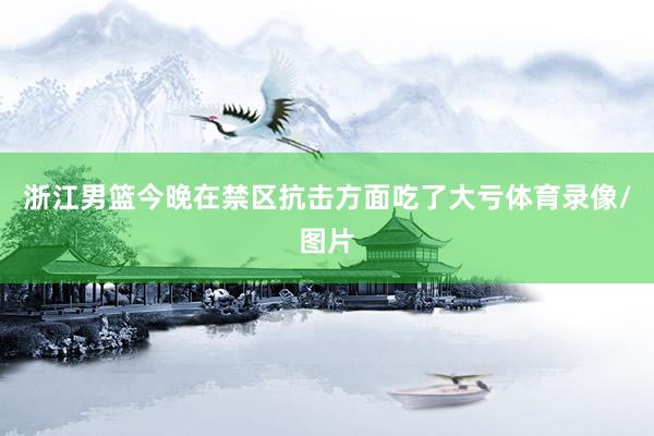 浙江男篮今晚在禁区抗击方面吃了大亏体育录像/图片