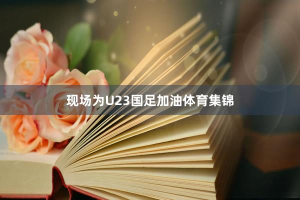 现场为U23国足加油体育集锦