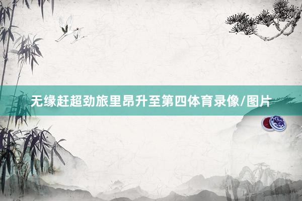 无缘赶超劲旅里昂升至第四体育录像/图片