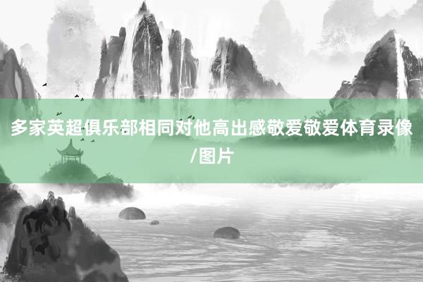 多家英超俱乐部相同对他高出感敬爱敬爱体育录像/图片