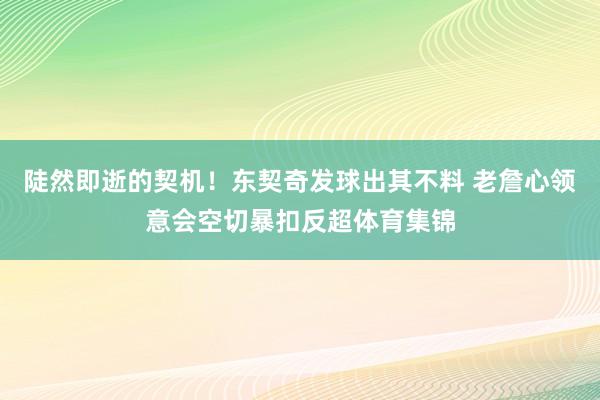 陡然即逝的契机！东契奇发球出其不料 老詹心领意会空切暴扣反超体育集锦