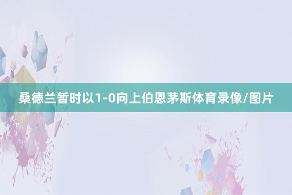 桑德兰暂时以1-0向上伯恩茅斯体育录像/图片