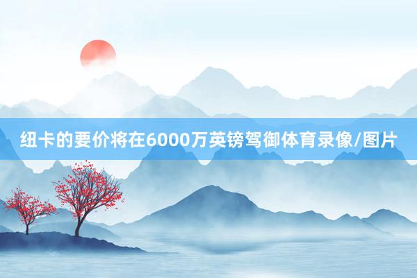 纽卡的要价将在6000万英镑驾御体育录像/图片