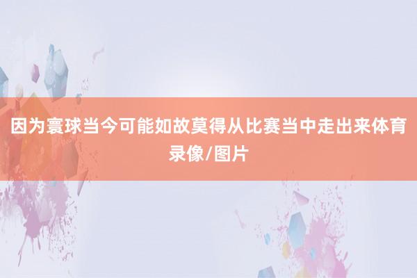 因为寰球当今可能如故莫得从比赛当中走出来体育录像/图片