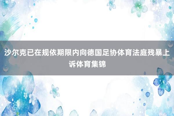 沙尔克已在规依期限内向德国足协体育法庭残暴上诉体育集锦