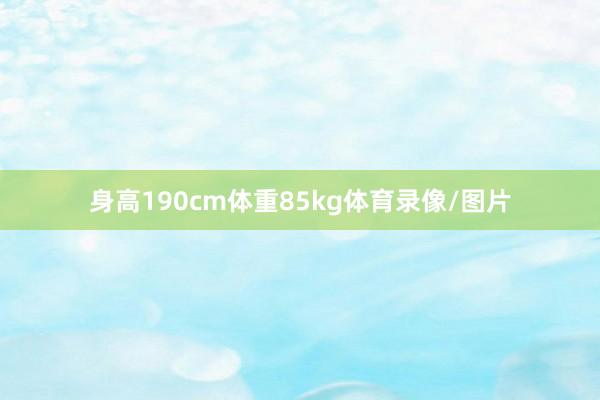 身高190cm体重85kg体育录像/图片