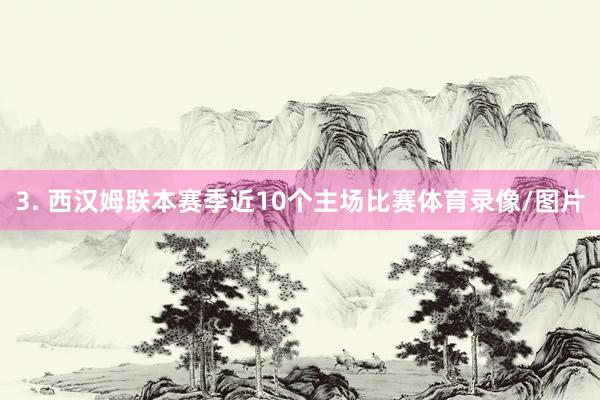 3. 西汉姆联本赛季近10个主场比赛体育录像/图片