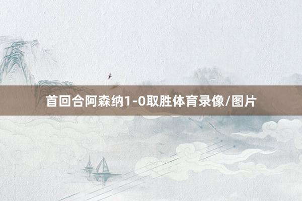 首回合阿森纳1-0取胜体育录像/图片