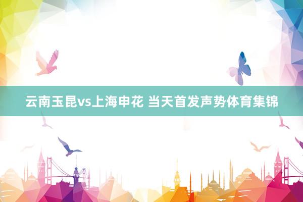 云南玉昆vs上海申花 当天首发声势体育集锦