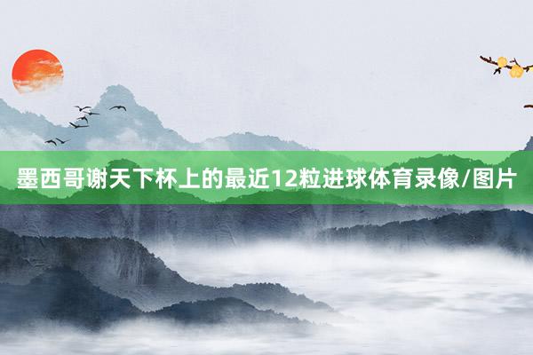 墨西哥谢天下杯上的最近12粒进球体育录像/图片