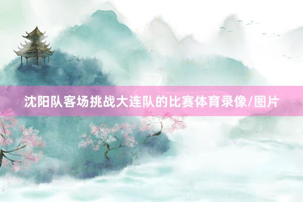 沈阳队客场挑战大连队的比赛体育录像/图片